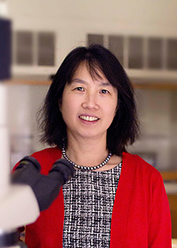 Leslie Shen headshot