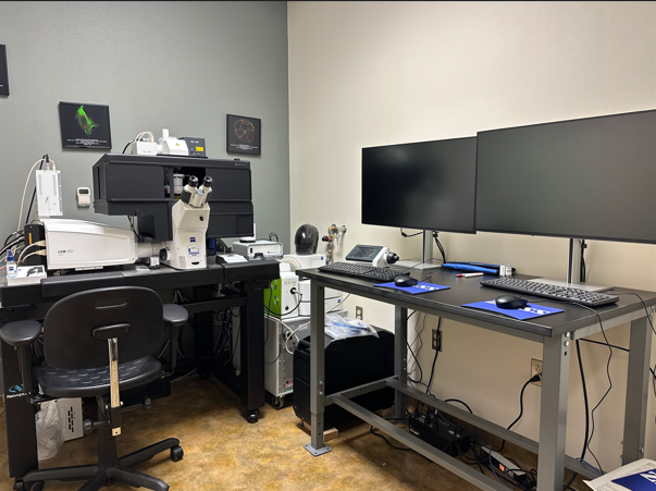 Zeiss LSM 980 System