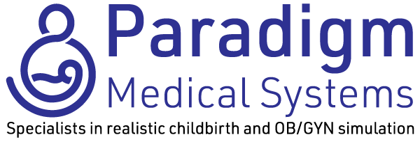 Paradigm silver sponsor