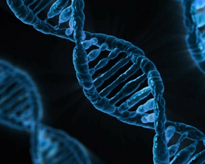 			      TTUHSC, TTU Study Published in Genome Biology			   