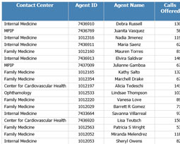       Top Call Agents July 2017   