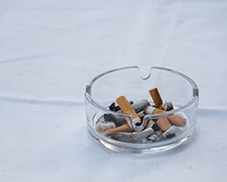       Beating the Smoking Habit Can Benefit More than the Lungs   