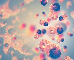      Researchers Awarded Grant From the Cancer Prevention and Research Institute of Texas   